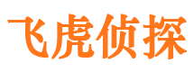 梁山侦探公司